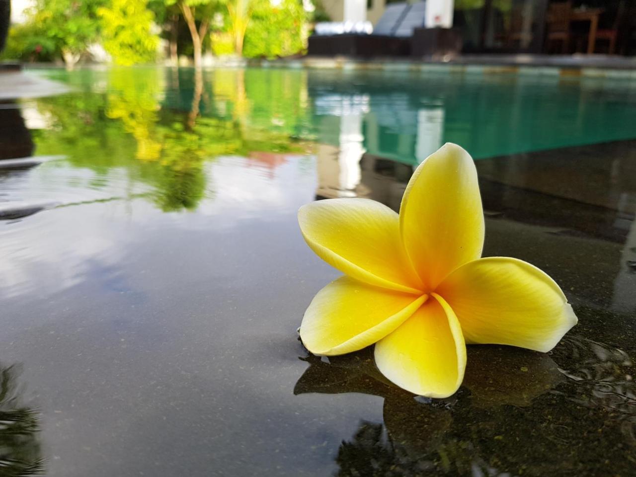 Villa Horizon Nusa Dua Nusa Dua  Kültér fotó